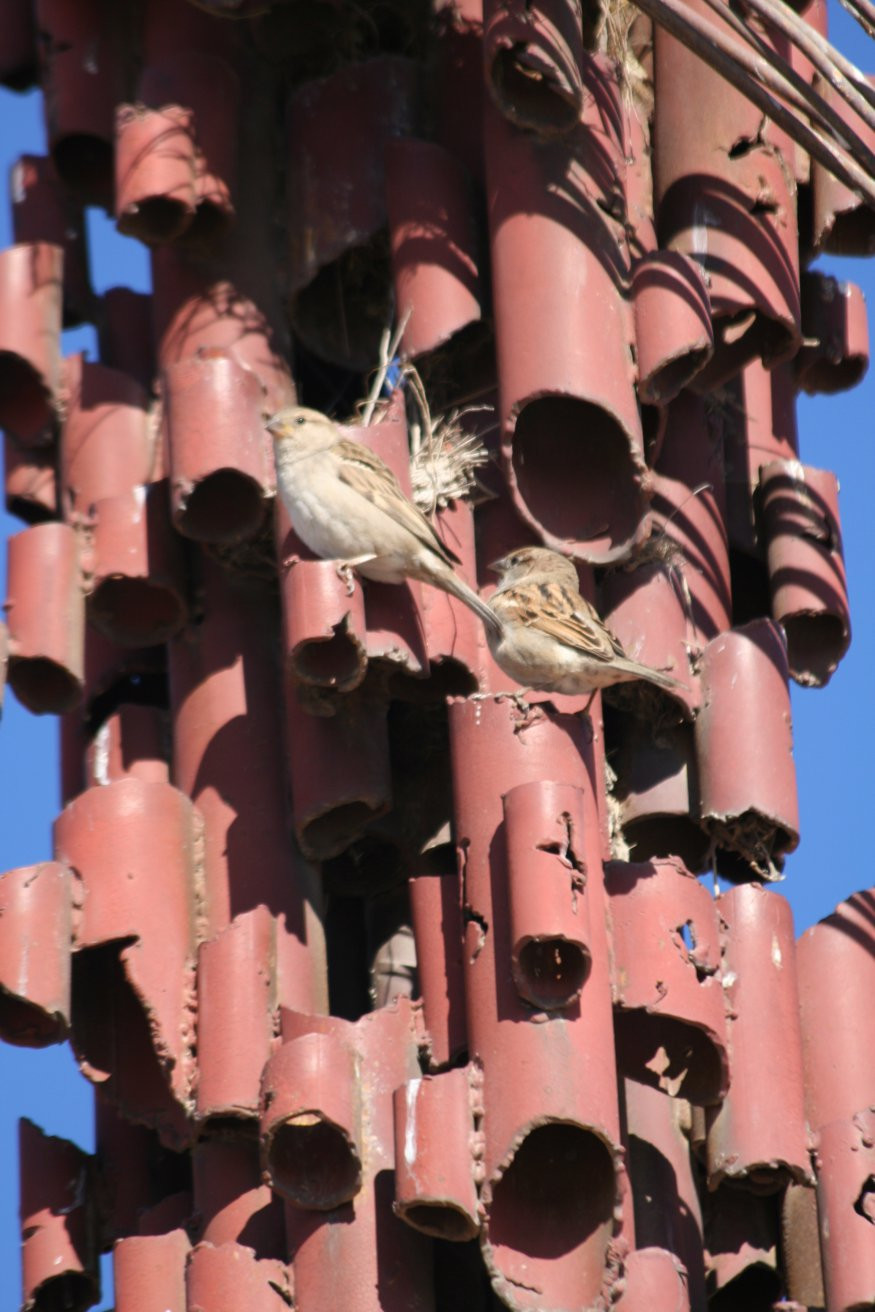 Гора Небо, Иордания, фото № 36609 – фотографии Иордании