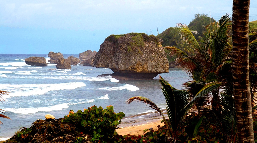 Остров Батшиба, Барбадос. Фото 6 – фотографии Барбадоса