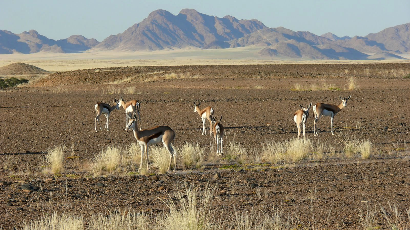 Намибия, фото № 5574 – фотографии Намибии