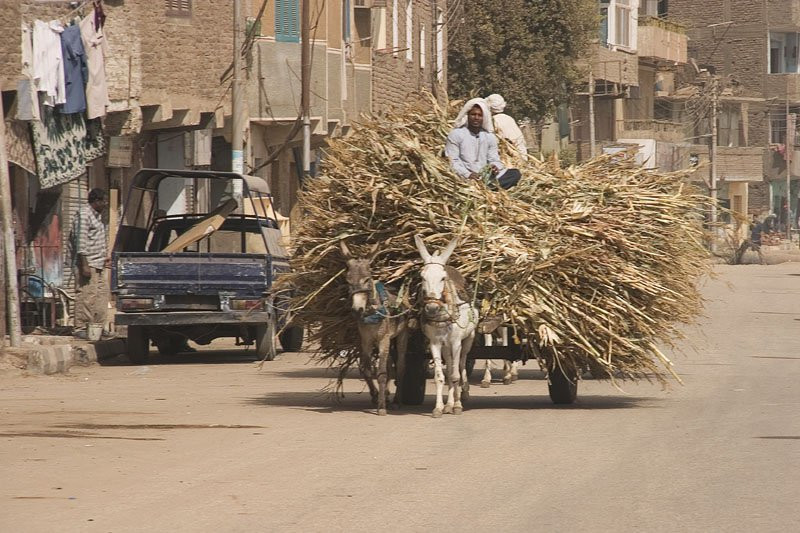 Луксор, Египет, фото № 35232 – фотографии Египта