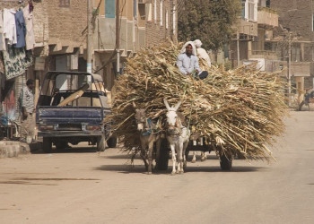 Луксор, Египет, фото № 35232 – фотографии Египта
