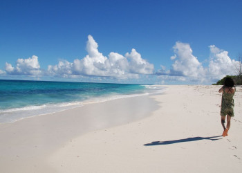 Прогулка по острову Бёрд – фотографии Сейшельских островов