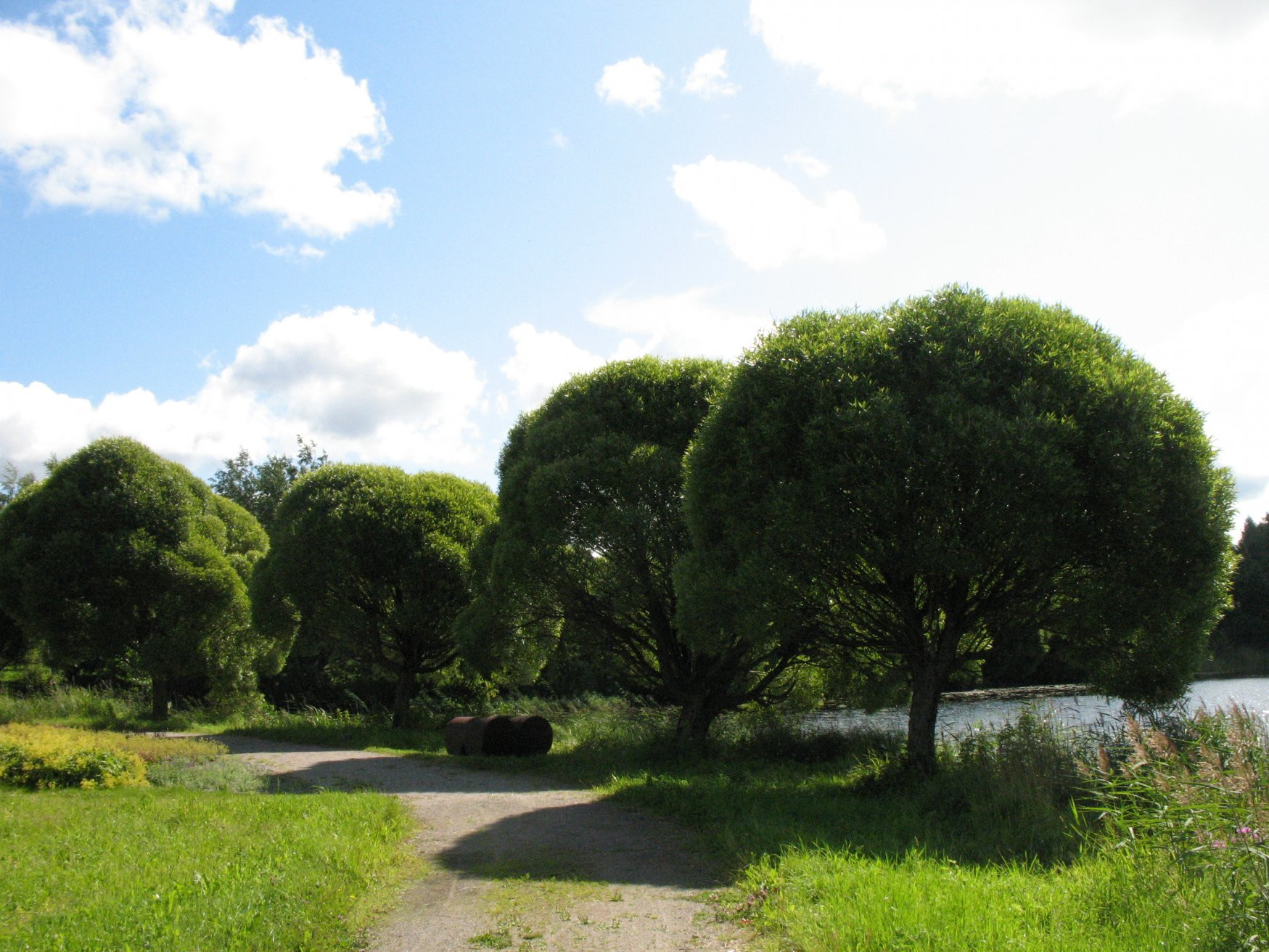 Миккели, Финляндия, фото № 74710 – фотографии Финляндии