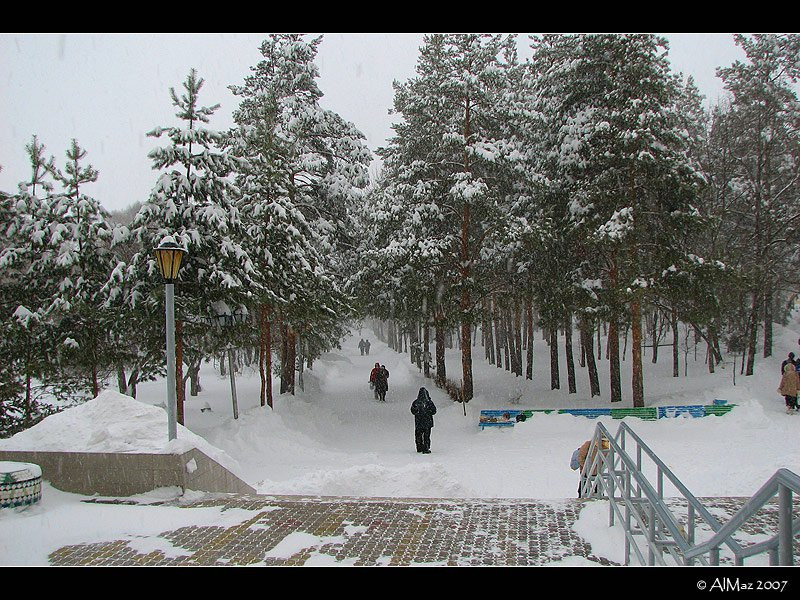 Парк в Шмаковке, Россия. Фото 4 – фотографии России