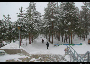 Парк в Шмаковке, Россия. Фото 4 – фотографии России