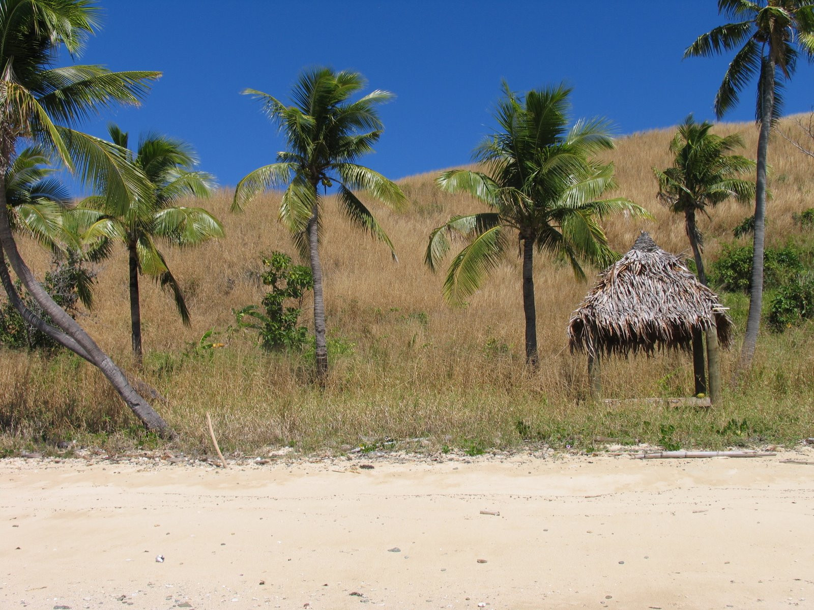 Мана остров, Маманука группа островов, Фиджи, фото № 48942 – фотографии Фиджи