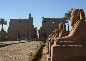 Луксорский храм. Фото 5 – фотографии Египта