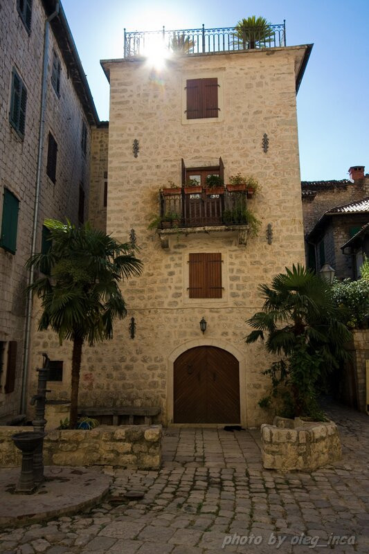 Дома в Которе, Черногория. Фото 55 – фотографии Черногории