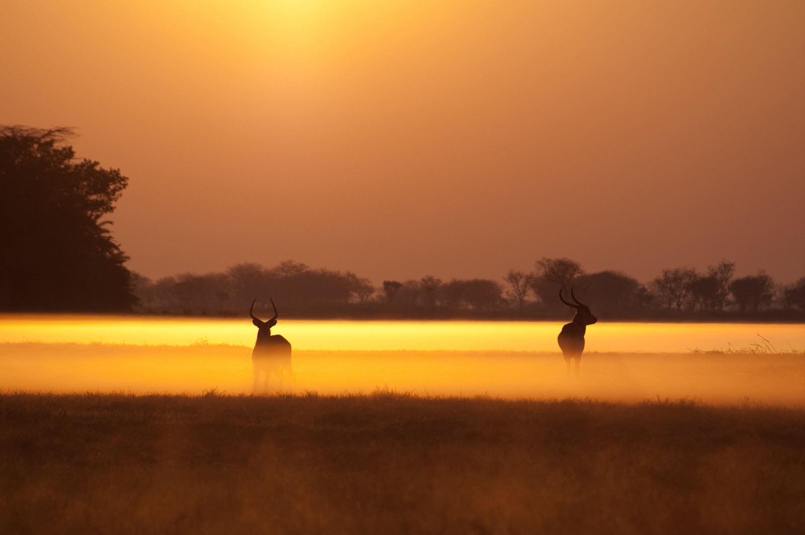 Красивая Замбия – фотографии Замбии