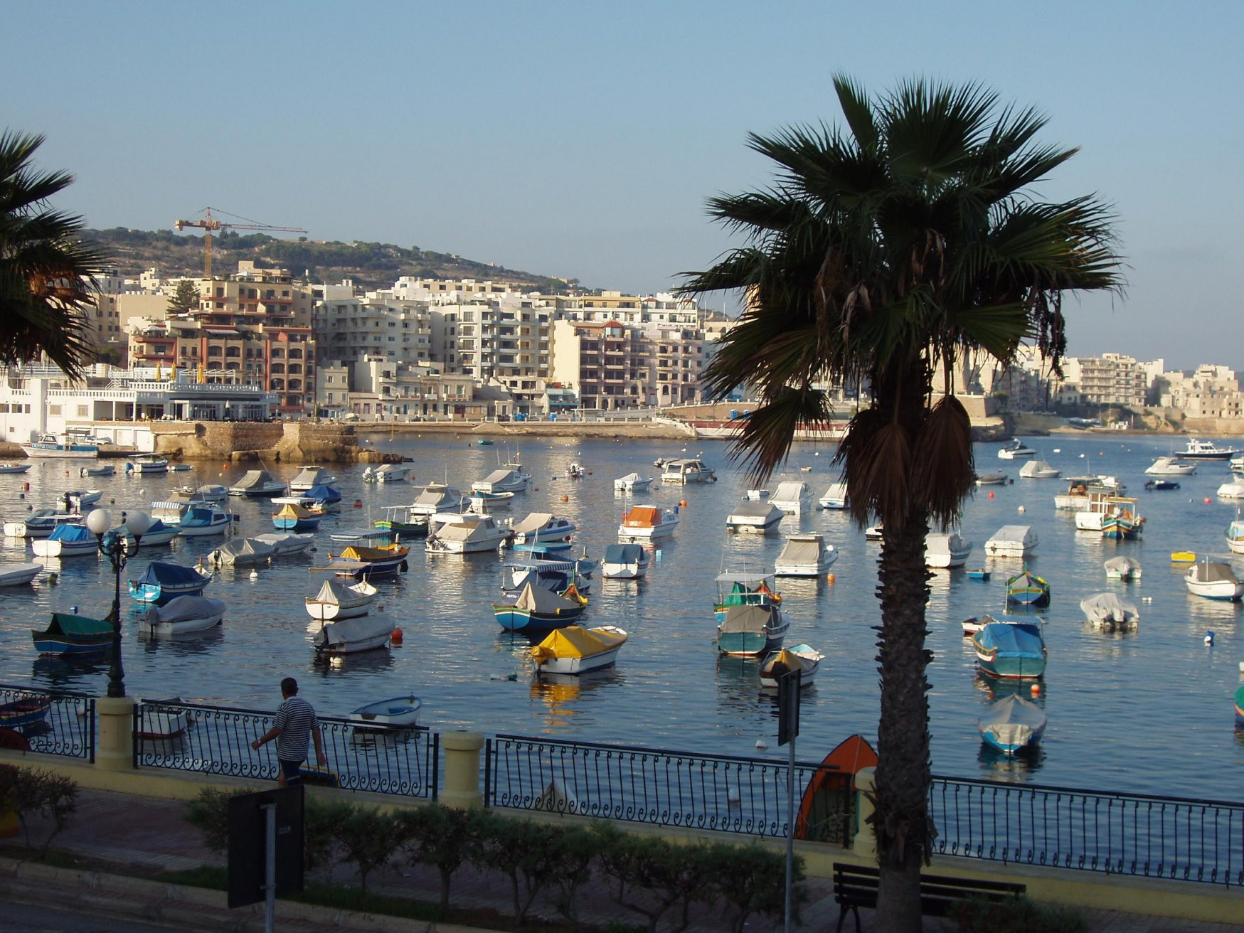 Сент-Полс-Бэй, Мальта остров, Мальта, фото № 42950 – фотографии Мальты