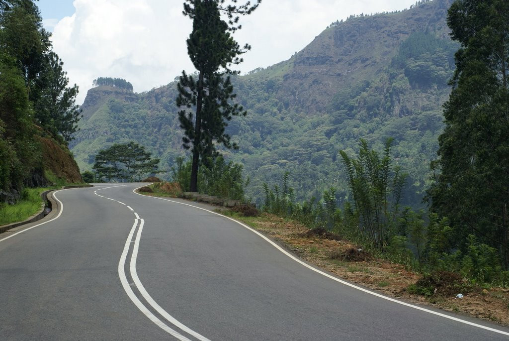 Шри-Ланка, фото № 1191 – фотографии Шри-Ланки