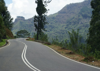 Шри-Ланка, фото № 1191 – фотографии Шри-Ланки