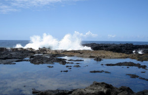 Побережье в Сен-Роз (Saint Rose) – фотографии Реюньона