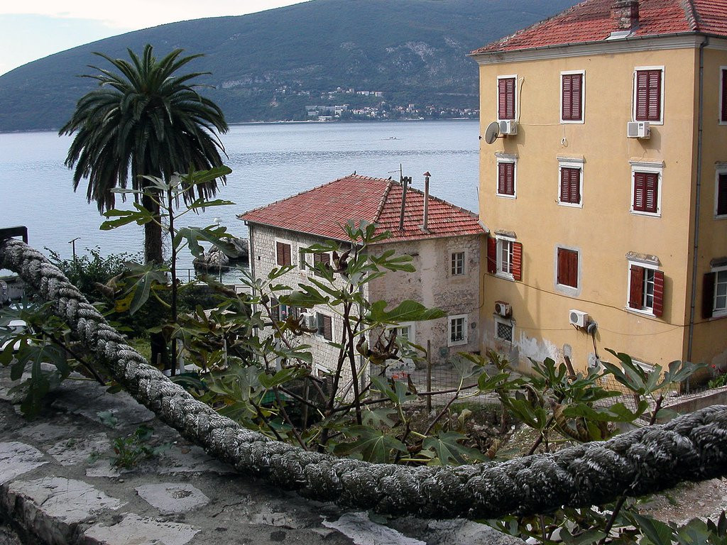 Дома в Херцег-Нови, Черногория. Фото 23 – фотографии Черногории