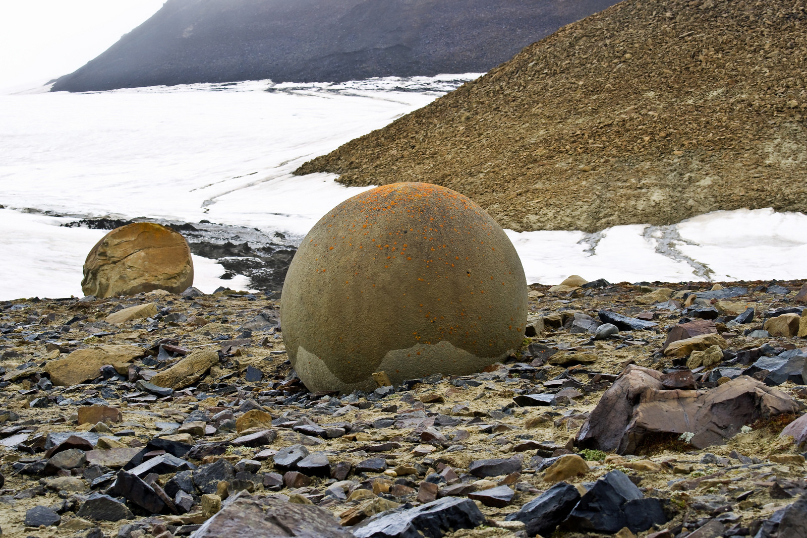 Круглые камни острова Чамп, Земля Франца-Иосифа. Фото 1 – фотографии России