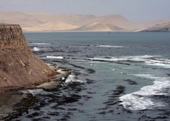 Заповедник Паракас (Paracas National Reserve) в Перу – фотографии Перу