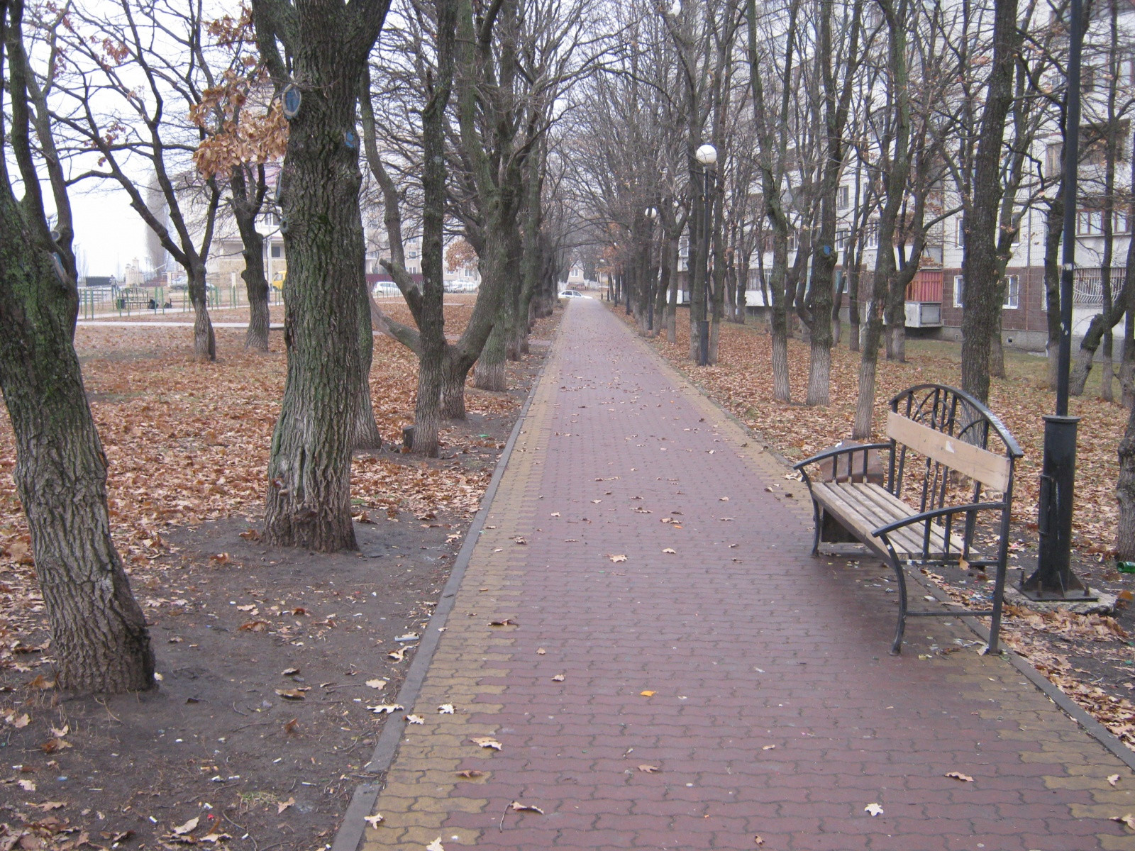 осень – фотографии России