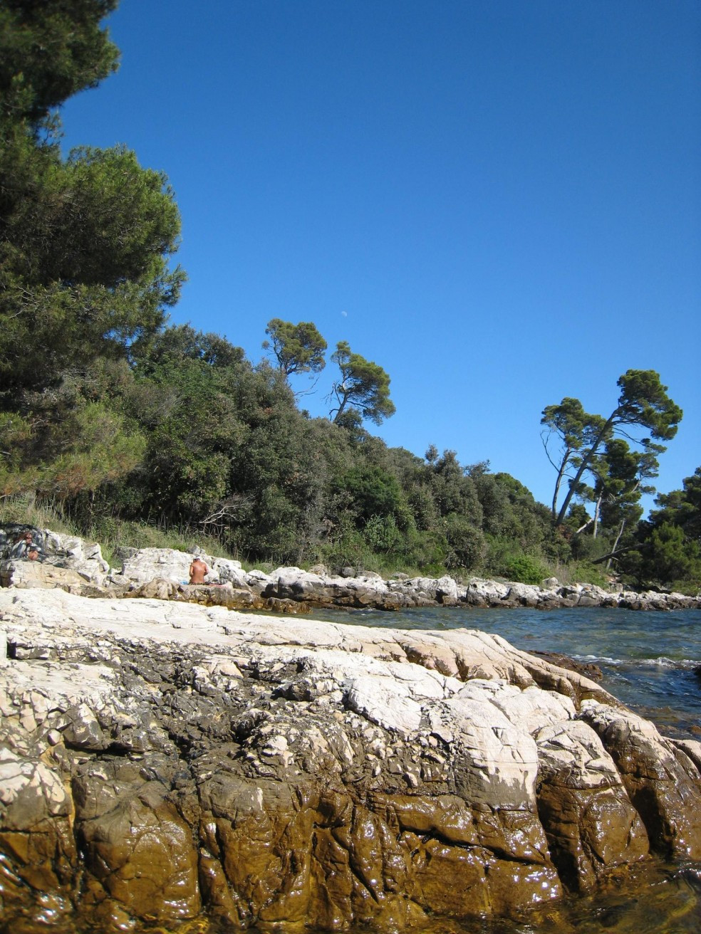 Берега в Ровинь, Хорватия. Фото 5 – фотографии Хорватии