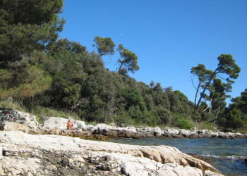 Берега в Ровинь, Хорватия. Фото 5 – фотографии Хорватии