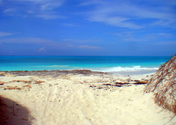 Пляж на острове Эксума, Багамские острова. Фото 7 – фотографии Багамских островов