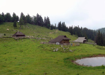 Велика Планина, Словения, фото № 56975 – фотографии Словении