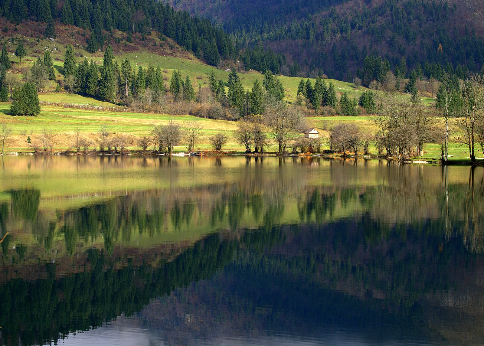 Бохинь Озеро, Словения, фото № 56935 – фотографии Словении