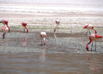 Bolivia – фотографии Боливии