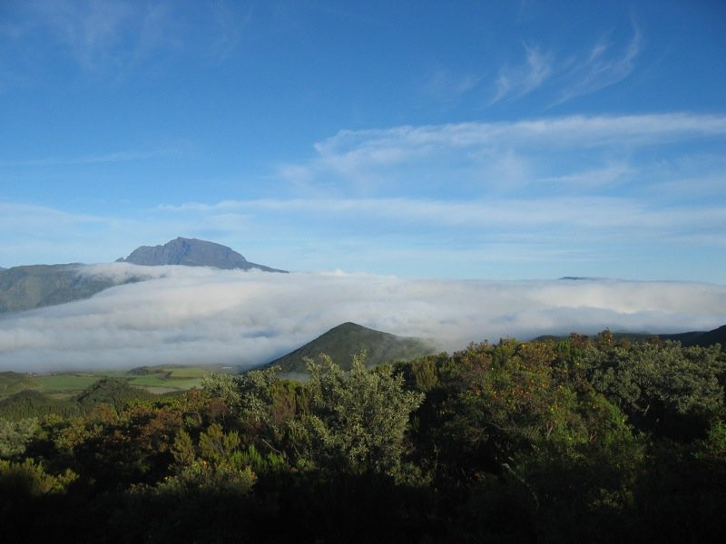 Плень-де-Кафр, Реюньон, фото № 25623 – фотографии Реюньона