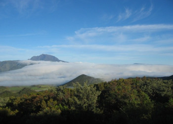 Плень-де-Кафр, Реюньон, фото № 25623 – фотографии Реюньона