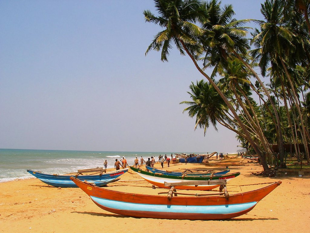 Ваддува, Шри-Ланка, фото № 50812 – фотографии Шри-Ланки