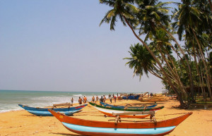 Ваддува, Шри-Ланка, фото № 50812 – фотографии Шри-Ланки