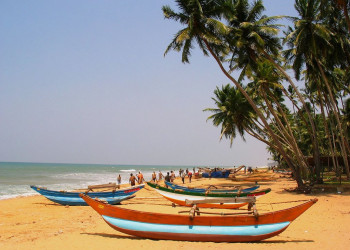 Ваддува, Шри-Ланка, фото № 50812 – фотографии Шри-Ланки