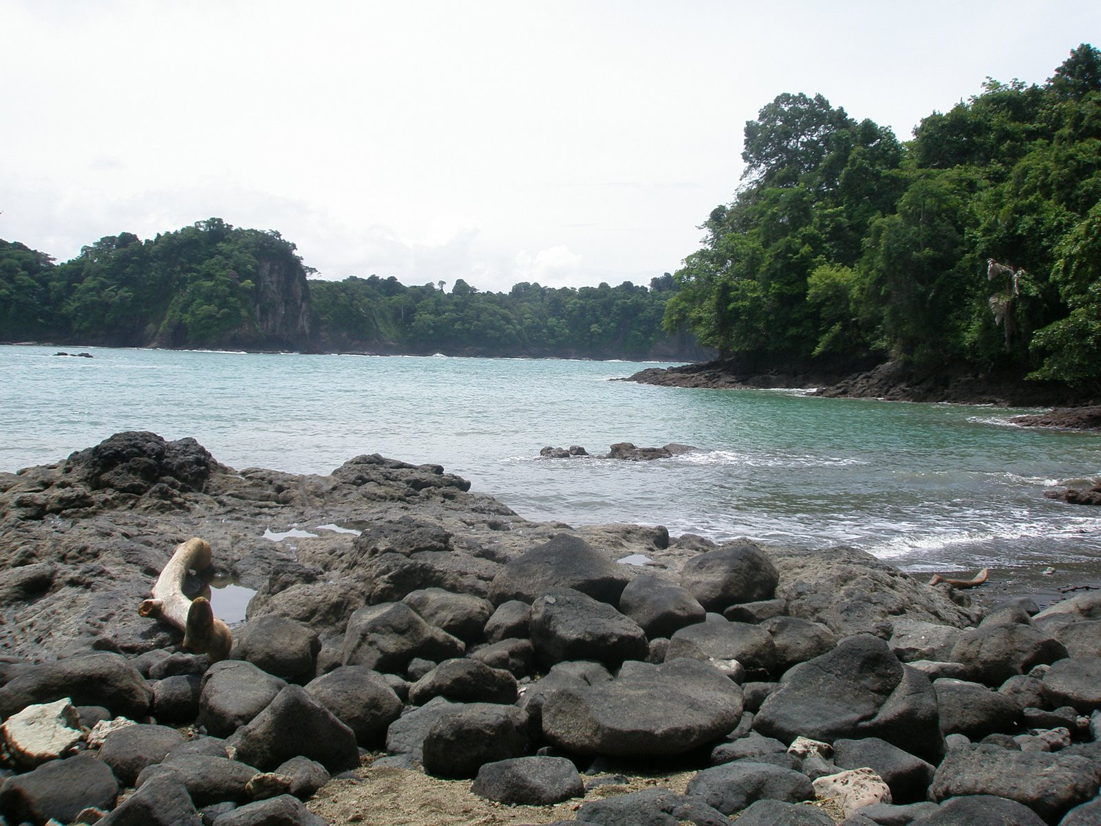 Мануэль Антонио, Пунтаренас провинция, Коста-Рика, фото № 40640 – фотографии Коста-Рики