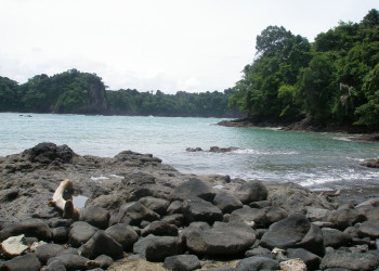 Мануэль Антонио, Пунтаренас провинция, Коста-Рика, фото № 40640 – фотографии Коста-Рики