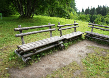 Ботанический сад на Большом Соловецком острове. Фото 2 – фотографии России