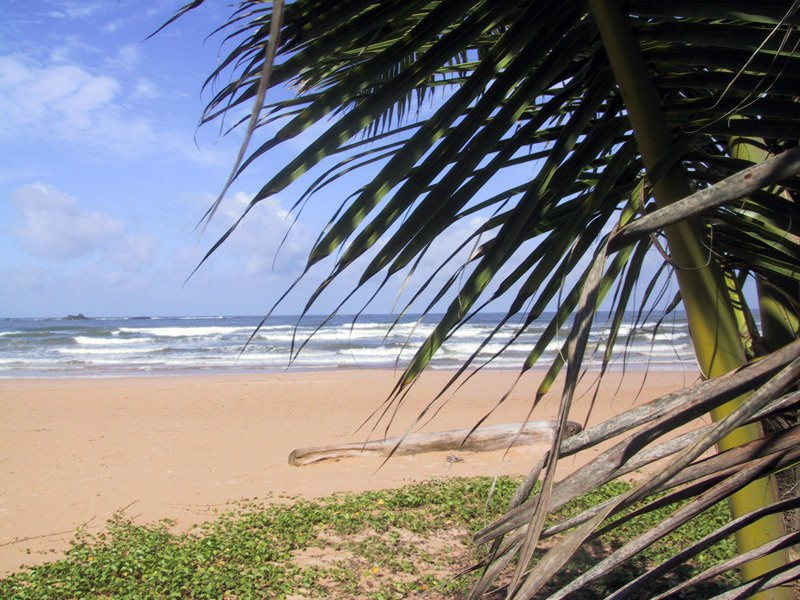 Бентота, Шри-Ланка, фото № 50664 – фотографии Шри-Ланки