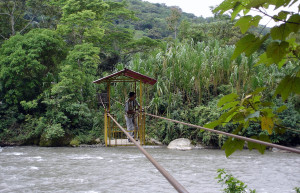 Национальный парк Карраско (Carrasco National Park) в Боливии – фотографии Боливии