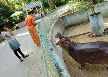 Янгонский Зоопарк (Yangon Zoo) – фотографии Мьянмы