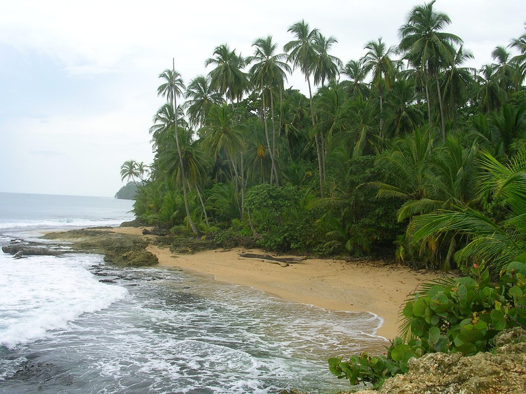 Манзанилло, Лимон провинция, Коста-Рика, фото № 40123 – фотографии Коста-Рики