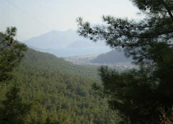 Мармарис, Эгейский регион, Турция, фото № 48054 – фотографии Турции