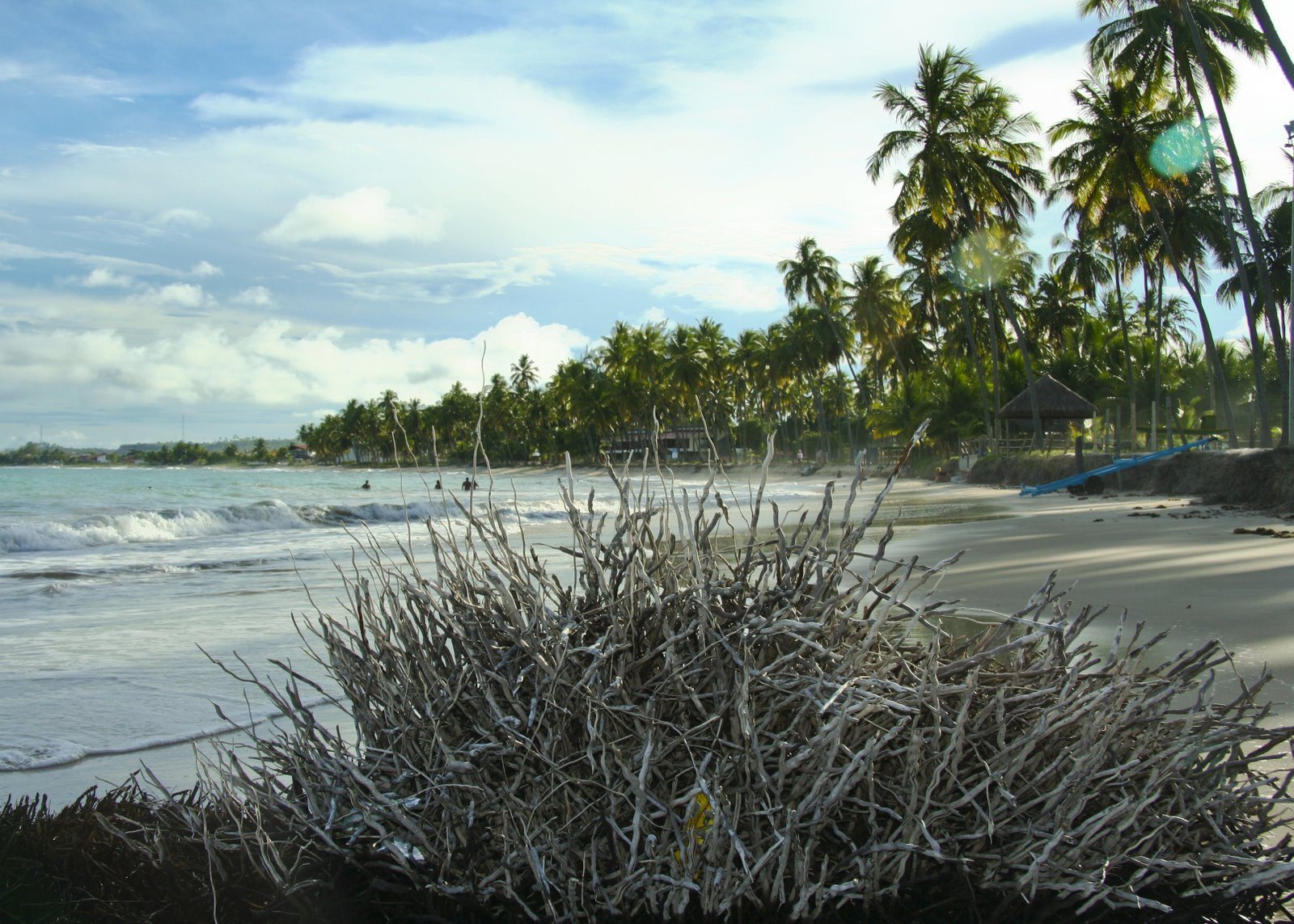 Порту-де-Галиньяс, Бразилия, фото № 59944 – фотографии Бразилии