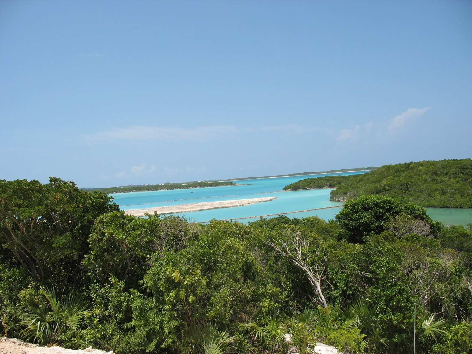 Природа острова Эксума, Багамские острова. Фото 5 – фотографии Багамских островов