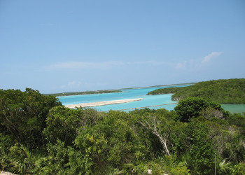 Природа острова Эксума, Багамские острова. Фото 5 – фотографии Багамских островов