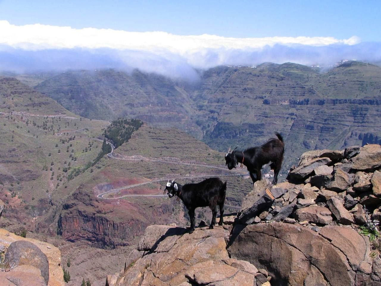 Ла-Гомера остров, Канарские острова, фото № 31668 – фотографии Канарских островов