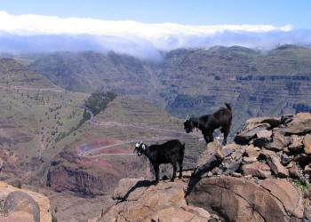 Ла-Гомера остров, Канарские острова, фото № 31668 – фотографии Канарских островов