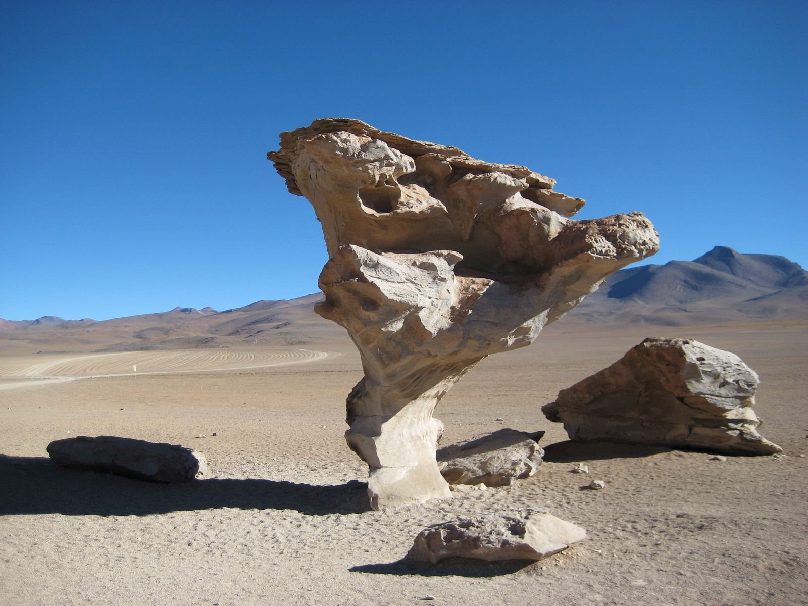 Боливия, фото № 3696 – фотографии Боливии