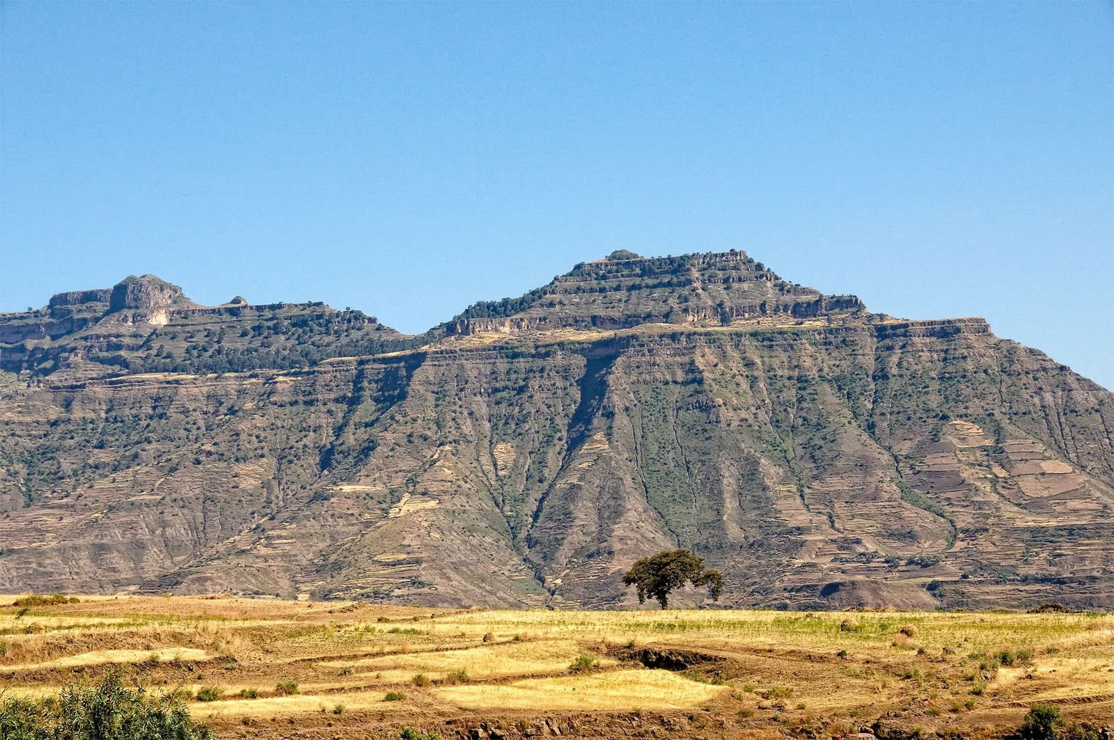 Горы, Эфиопия – фотографии Эфиопии