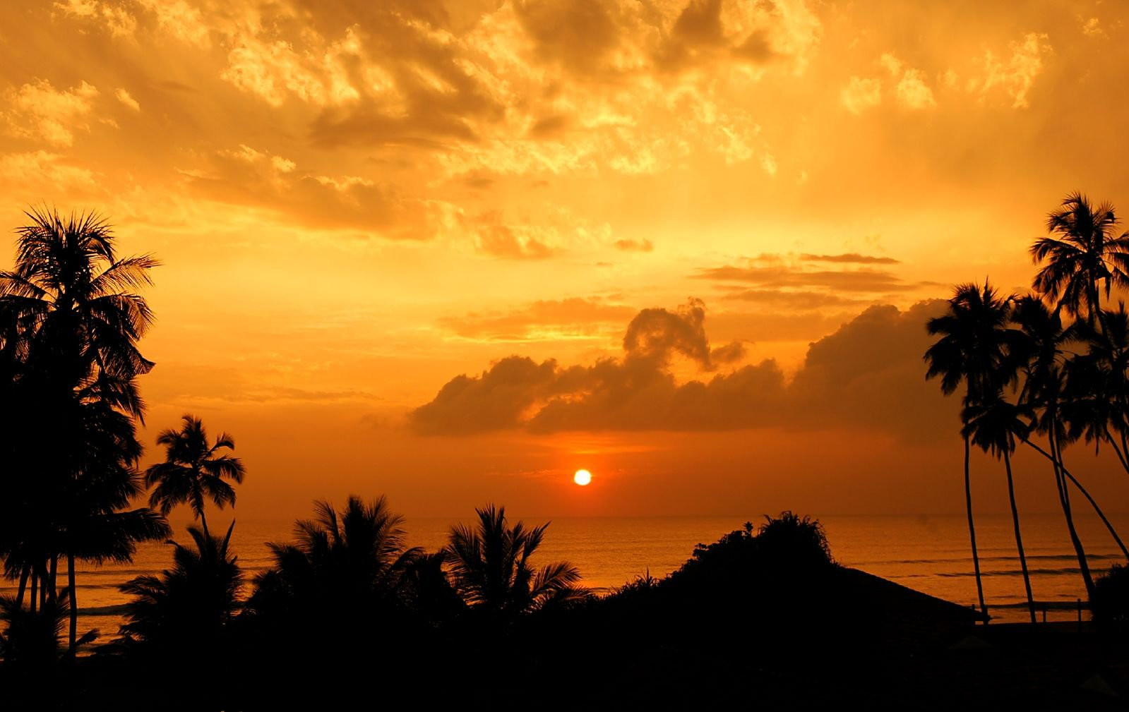 Ваддува, Шри-Ланка, фото № 50801 – фотографии Шри-Ланки