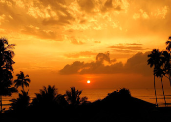 Ваддува, Шри-Ланка, фото № 50801 – фотографии Шри-Ланки