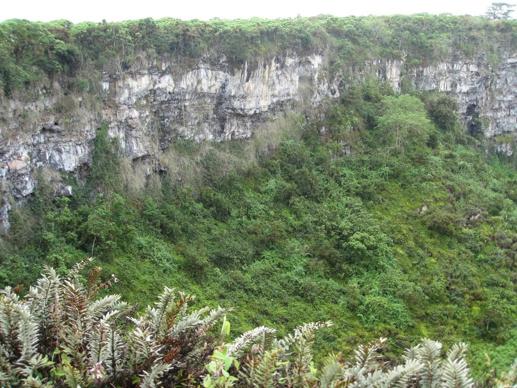 Галапагосские острова, Эквадор, фото № 68196 – фотографии Эквадора
